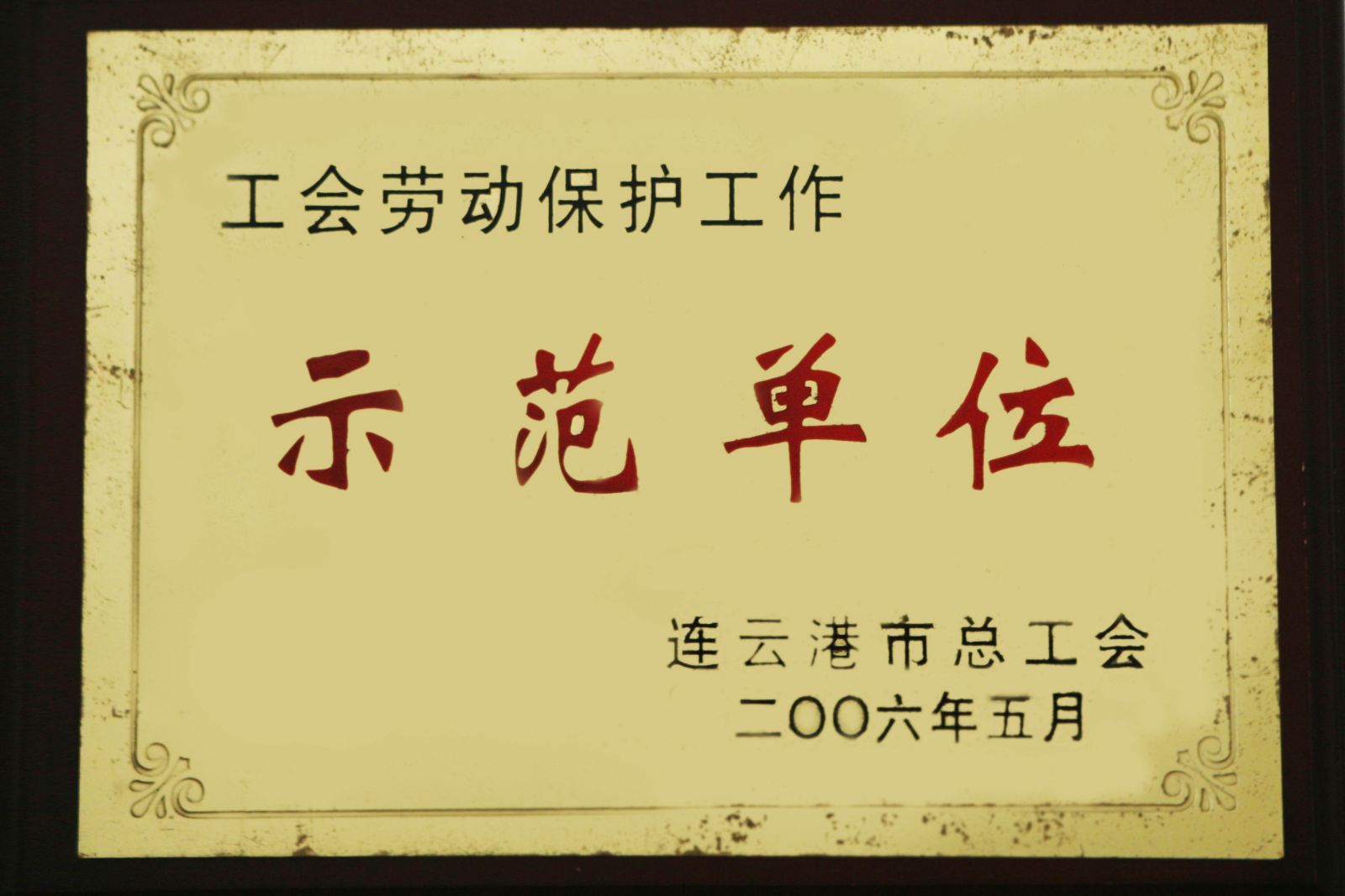 公司荣获2006年度“工会劳动保护工作示范单位”