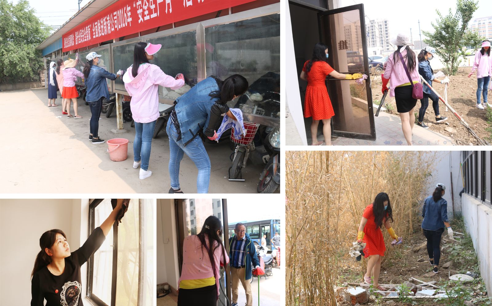 公交新浦公司在行动  扎实推进两学一做